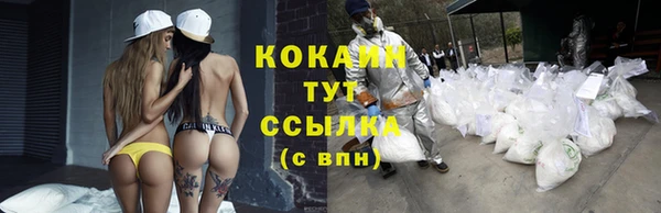 ешки Козельск