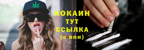 ешки Козельск
