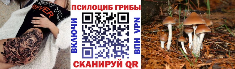 Псилоцибиновые грибы мицелий  Лобня 
