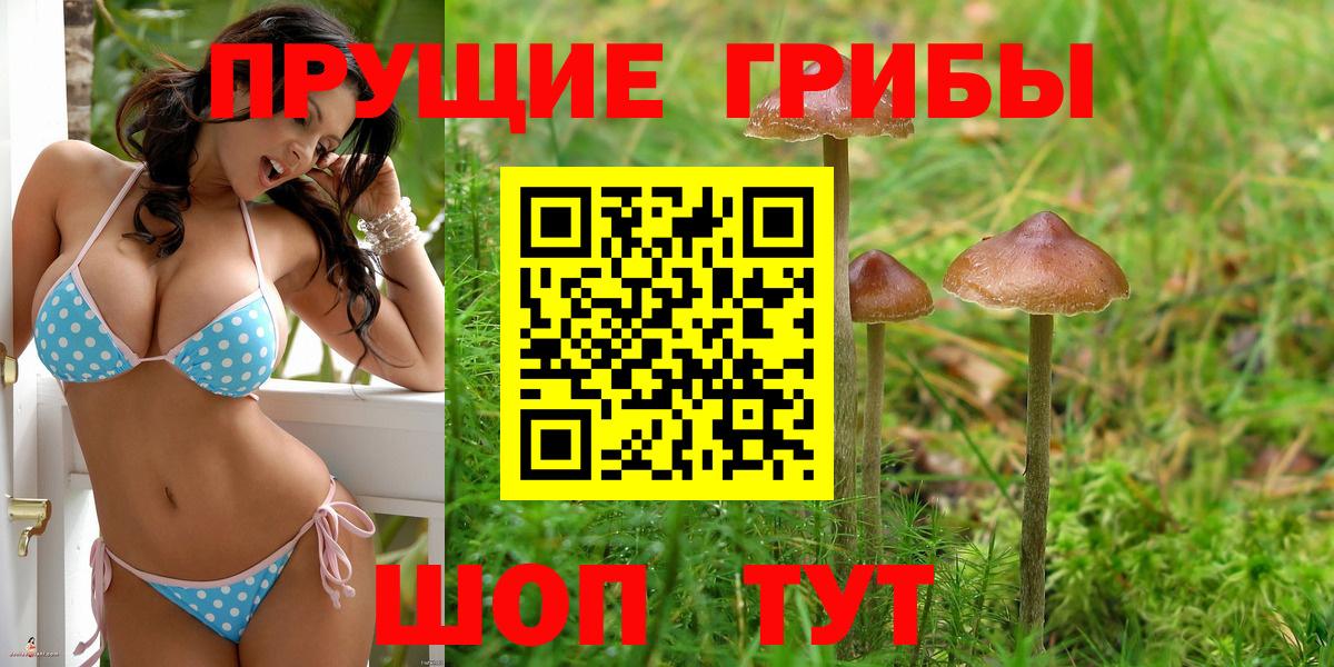 Галлюциногенные грибы прущие грибы  Вход с VPN  Лобня 