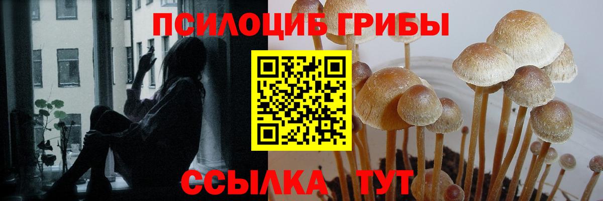 Галлюциногенные грибы GOLDEN TEACHER Лобня
